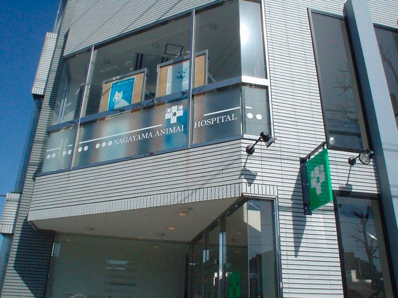 看板デザイン制作実績-動物病院ガラスフィルム・看板