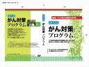 dvd-gan2